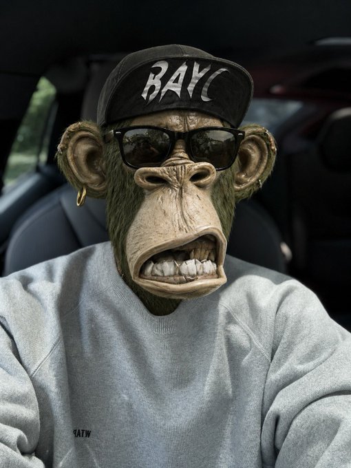 The image features a monkey wearing sunglasses, a baseball cap with the word "BAYC", and a gray sweatshirt. The monkey appears to be sitting inside a car, possibly posing for a photo or advertisement. The caption reads "gm apes and frens". This suggests that the monkey is being used as an eye-catching prop in a promotional context, possibly related to a brand or product associated with the term "gm apes and frens".