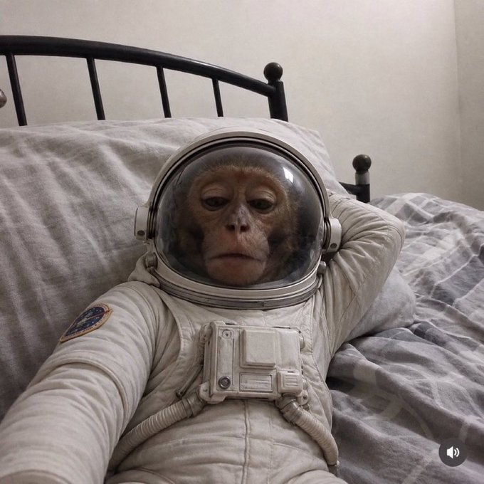 A monkey wearing an astronaut helmet and spacesuit lies on a bed, with the visible patch resembling a NASA insignia. The caption "$moonkey" and the post's references to "moon" and the pumpfun app create a playful meme linking the monkey's space-themed attire to the cryptocurrency token.