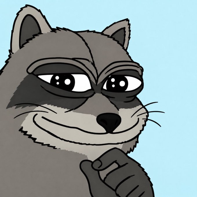 A cartoon raccoon resembling the "Truth Raccoon" meme (made famous by Bo Burnham's comedy special) smirks knowingly with his paw under his chin against a light blue background. The smug, "I know something you don't" expression pairs perfectly with the post's tone of quietly noticing $Jimothy's suspicious price pump on no news or volume.