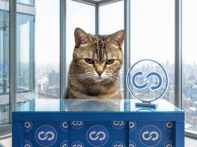 A tabby cat sitting at a blue desk with circular logos, next to a refresh/sync symbol sculpture, with a city skyline visible through the windows behind it.