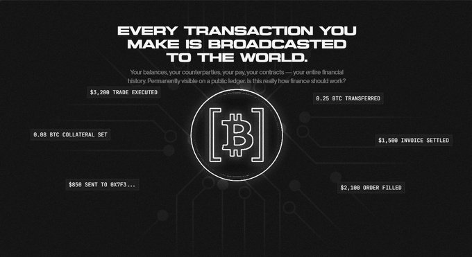 Bitcoin-themed graphic with bold text "EVERY TRANSACTION YOU MAKE IS BROADCASTED TO THE WORLD," critiquing blockchain's public ledger visibility, listing examples like "3,200 TRADE EXECUTED" and "0.25 BTC TRANSFERRED".