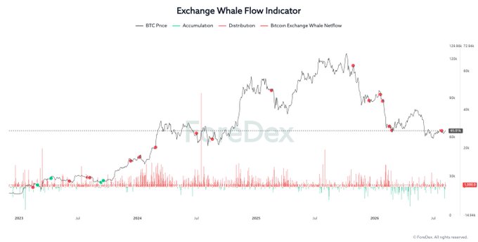 The image is a CryptoQuant chart titled "Exchange Whale Flow Indicator" tracking BTC price from 2023 through mid-2026, showing Bitcoin Exchange Whale Netflow with notable red distribution spikes around 2024 and green accumulation dots scattered along the price line (currently near $72,846), illustrating that large whale inflows to exchanges have recently decreased rather than surged.