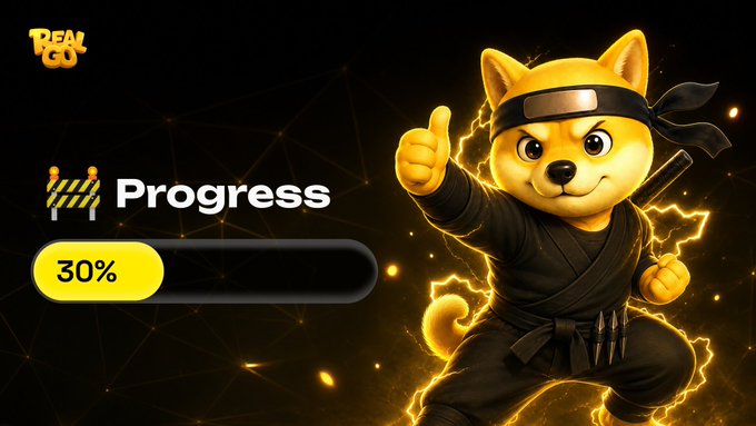 A Shiba Inu ninja character gives a thumbs-up next to a progress bar displaying "Progress 30%," visually celebrating the audit milestone mentioned in the post about reaching 30% completion with precision and momentum.