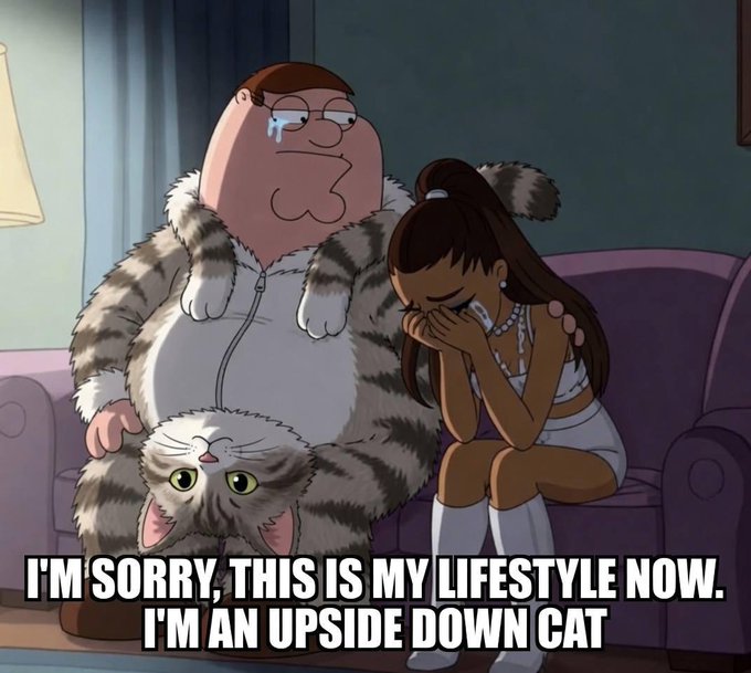 A Family Guy meme showing Peter Griffin in a fur coat holding an upside-down cat next to a crying woman, with caption 'I'M SORRY, THIS IS MY LIFESTYLE NOW. I'M AN UPSIDE DOWN CAT.'