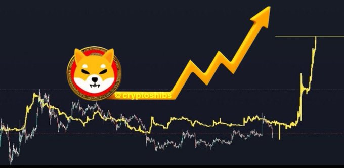 A cryptocurrency price chart featuring the Shiba Inu ($SHIB) logo and a large upward-trending orange arrow, illustrating the post's claim that $SHIB is "about to EXPLODE" toward $0.01, with the watermark "@cryptosinbs" visible on the arrow.