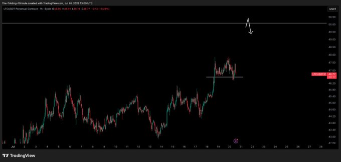 The image shows a TradingView chart of the LTC/USD perpetual contract on Binance, with the price currently at $46.76 (showing -0.61 / -1.29%) on the 1-hour timeframe as of July 22, 2026. The chart illustrates recent price action consolidating below the $50 mark, supporting the post's call for bulls to push LTC up to that target level.
