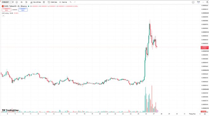TradingView candlestick chart for SHIB/USDT on Binance, showing a 2-hour timeframe with a significant price spike and increased volume on the right side of the chart.