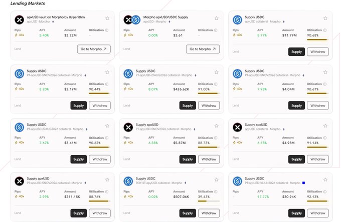 A dashboard screenshot of a DeFi lending markets platform displaying various Morpho-based USDC and sUSDe supply and borrow pools with their APYs, total amounts, and utilization rates.