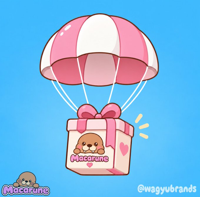 A cartoon logo for 'Macarune' shows a brown dog peeking out of a pink gift box descending with a pink and white parachute against a blue background, with '@wagyubrands' text.