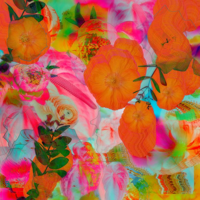 A vibrant, chaotic collage of bright orange flowers, pink and green watercolor textures, and a corn cob.