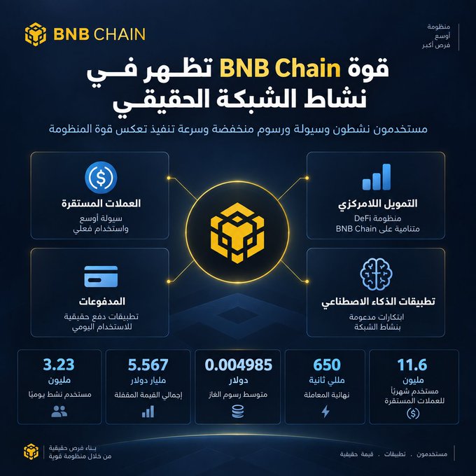 The image is an Arabic-language infographic from BNB Chain titled "قوة BNB Chain تظهر في نشاط الشبكة الحقيقي" (BNB Chain's strength shows in real network activity), highlighting stablecoin payments, DeFi financing, daily payments, and AI applications as core use cases, along with key stats: 3.23M daily active users, 5.567M total daily transactions, $0.004985 average transaction cost, 650M daily smart contract transactions, and 11.6M daily stablecoin transactions.

It visually reinforces the post's message by shifting focus from BNB's market price to the underlying network's robust on-chain activity and adoption metrics.