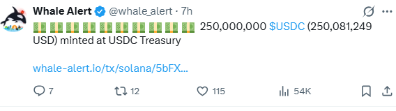 A tweet from Whale Alert (@whale_alert) reporting 250,000,000 $USDC (250,081,249 USD) minted at USDC Treasury.