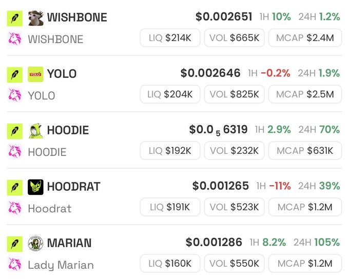 Cryptocurrency token listing showing meme coins with their prices and stats: WISHBONE ($0.002651), YOLO ($0.002646), HOODIE ($0.0₅6319), HOODRAT ($0.001265), and MARIAN ($0.001286), each with 1H and 24H percentage changes.
