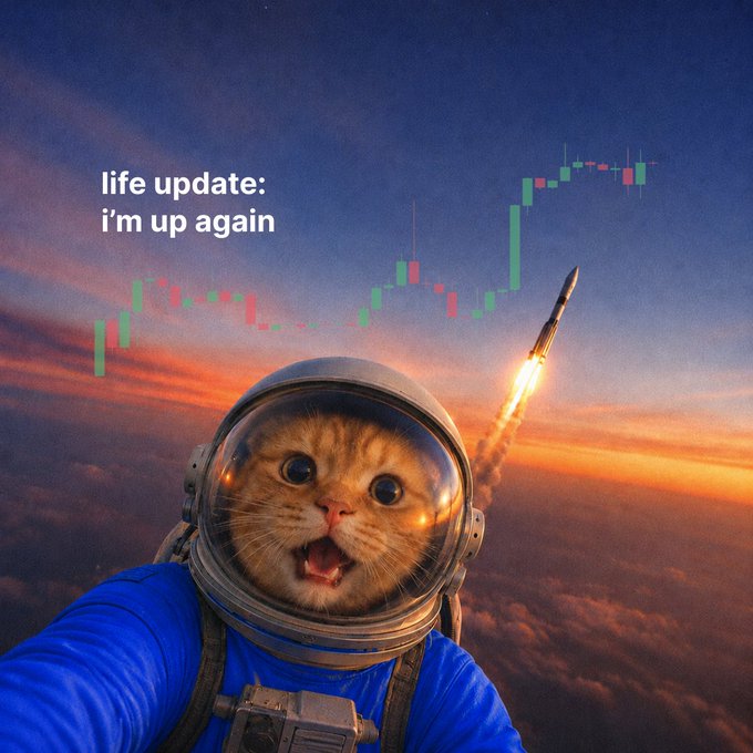 An astronaut cat in a space suit takes a selfie as a rocket launches into a vibrant sunset sky, overlaid with a green-and-red stock chart trending upward, captioned "life update: i'm up again." The image perfectly mirrors the post's message about $SPCX's dramatic comeback above its IPO price, with the cat's joyful expression embodying the triumphant "comeback" theme.