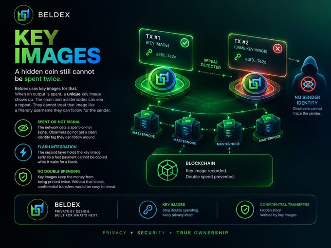 A technical infographic by BELDEX explaining 'KEY IMAGES' technology for blockchain privacy, showing how key images prevent double spending through spent-or-not signals, flash integration, and masternode verification.