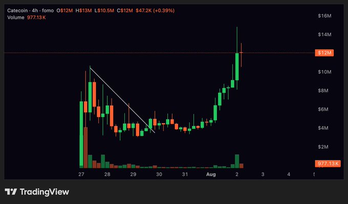 A 4-hour candlestick chart of Catecoin ($CATE) shows a strong bullish breakout, with the price climbing from around $4M to a peak near $14M before settling at $12M (up 0.39%), accompanied by a noticeable surge in volume to 977.13K — visually confirming the "cook" referenced in the post.