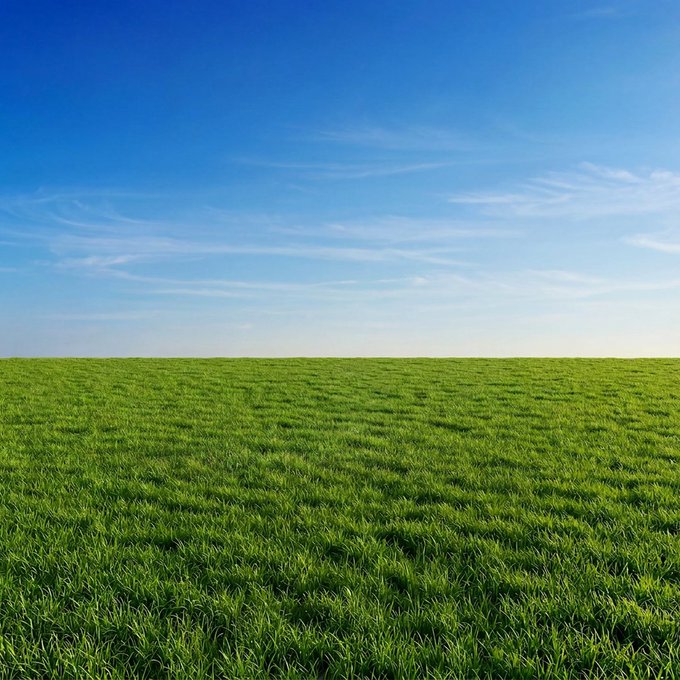 A vast, vibrant green grassy field stretches out beneath a clear blue sky with wispy clouds, capturing a serene outdoor moment that perfectly embodies the "touching grass" meme. The simple, expansive landscape offers a refreshing visual representation of stepping outside and enjoying nature.