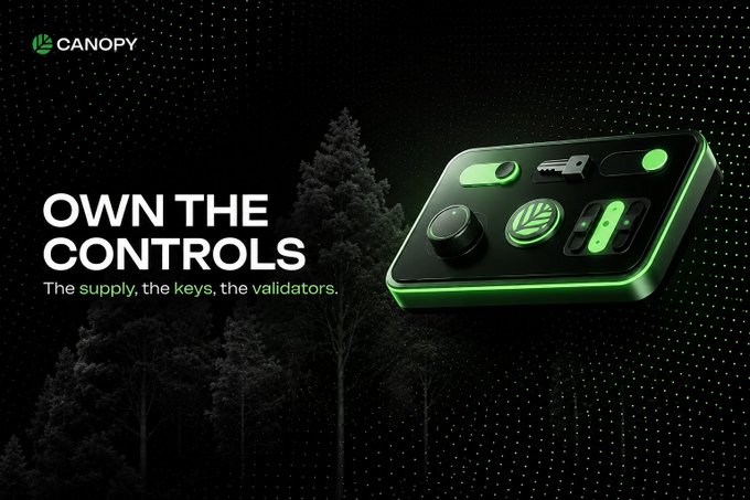 The image features an advertisement for a cryptocurrency called "CANOPY" that emphasizes the importance of owning control over one's digital assets, as well as the potential benefits of investing in such a system. The text in the image reads "OWN THE CONTROLS", which highlights the idea of having control and options within the crypto world.