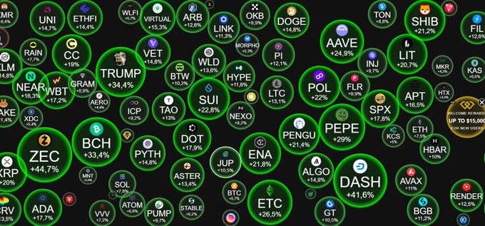 A cryptocurrency market dashboard showing green circles with various coin tickers and positive percentage changes, including UNI, ETHFI, ARB, DOGE, BCH, PEPE, DASH, and BTC.