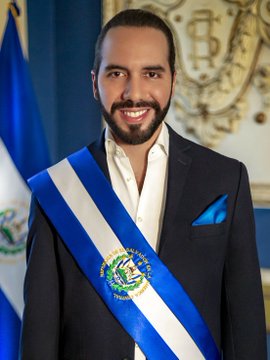 A formal portrait shows President Nayib Bukele of El Salvador wearing a blue and white presidential sash over a dark suit, with the Salvadoran flag and national coat of arms visible in the background. The image connects to the post by illustrating the leader behind El Salvador's controversial adoption of Bitcoin as legal tender, which is the central subject of the article about the country's financial crisis.