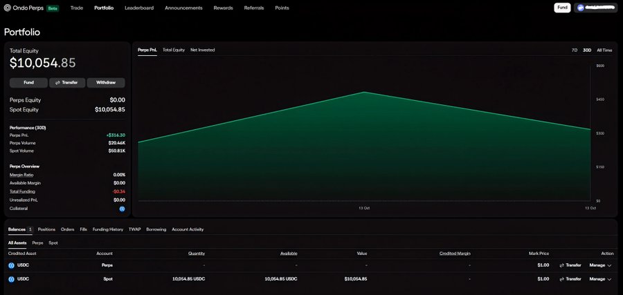 Ondo Perps Portfolio dashboard displaying Total Equity of $10,054.85, Perps P&L of +$14.30, with a green area chart showing performance over time and USDC balance holdings.