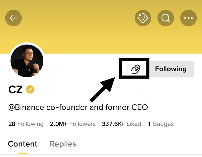 A social media profile page for 'CZ' (@Binance co-founder and former CEO) with 2.0M+ followers, featuring an arrow pointing to the 'Following' button's icon.
