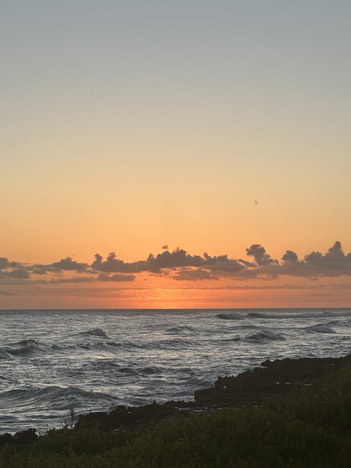 A serene sunset over the ocean, with warm orange hues blending into the horizon as waves crash against a rocky, grass-lined shore. The peaceful coastal scene captures the "good morning" (GM) greeting with a tranquil, natural start to the day.