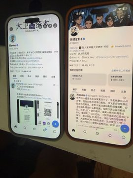 Two smartphones side by side display Twitter/X profiles in Chinese, with usernames "Dava" and "天涯红牛9" visible, likely showing posts or profiles of the two individuals referenced in the caption.