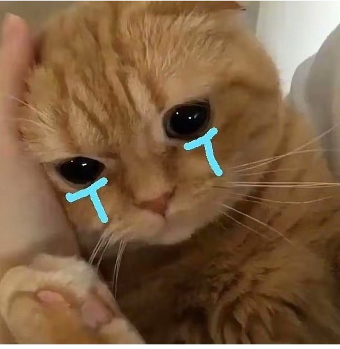 A close-up photo of an orange tabby cat being petted, with drawn-on blue tear marks streaming from its eyes to give it a sad, crying appearance.