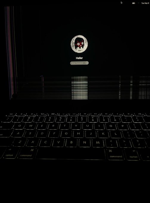 A MacBook's login screen displays the username "Heller" beneath an avatar of a dark-haired figure with red eyes, the screen showing clear signs of hardware failure with vertical colored bands and distortion on the left side. The broken laptop visually supports the poster's claim of breaking their device while remaining bullish on "$LAPTOP."