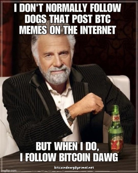 The "Most Interesting Man in the World" meme featuring text: "I DON'T NORMALLY FOLLOW DOGS THAT POST BTC MEMES ON THE INTERNET BUT WHEN I DO, I FOLLOW BITCOIN DAWG" with the handle "bitcoindawg@primal.net".