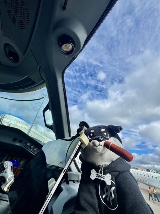 A plush Husky dog toy sits in a small aircraft cockpit with a bone-shaped tag, looking out at a cloudy blue sky.
