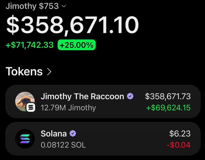 A cryptocurrency portfolio screenshot showing 'Jimothy' with a total balance of $358,671.10, up +25.00%, including holdings in 'Jimothy The Raccoon' and 'Solana'.