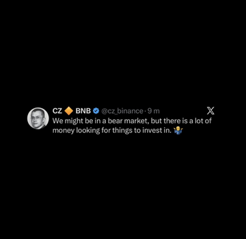 A screenshot of a tweet from CZ (@cz_binance) posted 9 minutes ago, captioned with his profile picture, reading: "We might be in a bear market, but there is a lot of money looking for things to invest in." The tweet supports the accompanying post's sentiment about an upcoming bull run driven by abundant investment capital.