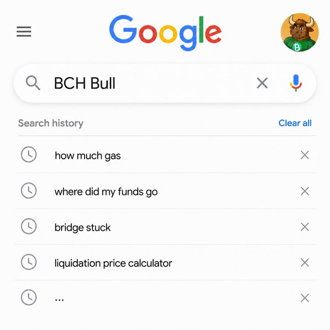 A Google search page showing a search for "BCH Bull" with a bull profile picture, and a search history including "how much gas," "where did my funds go," "bridge stuck," and "liquidation price calculator."