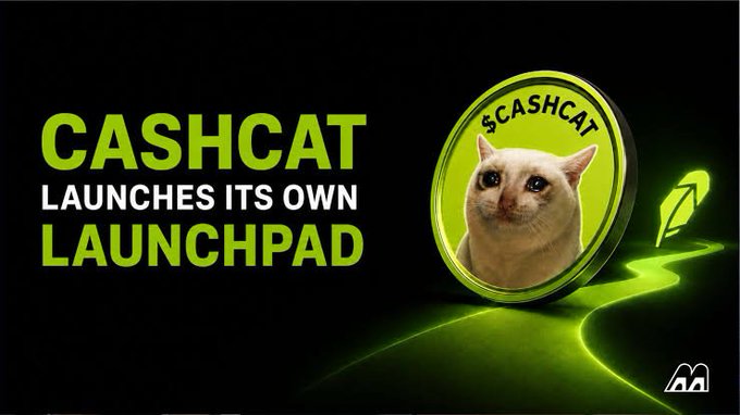 A dark promotional graphic with green text announcing 'CASHCAT LAUNCHES ITS OWN LAUNCHPAD' alongside a coin featuring a cat's face and a green glowing path.