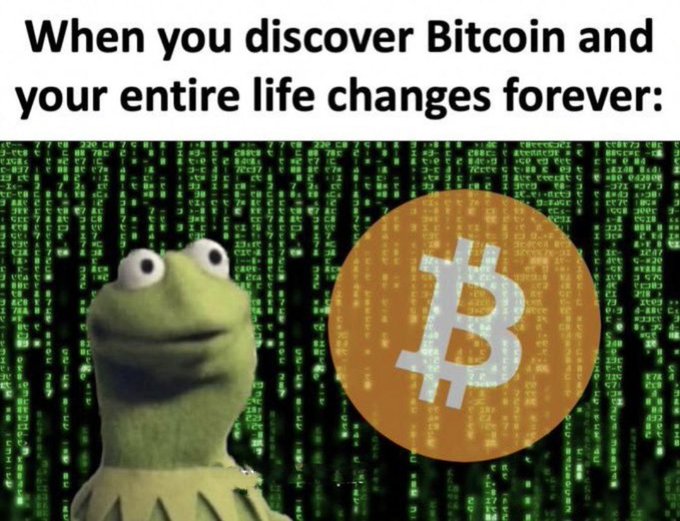 A meme featuring Kermit the Frog staring in awe at a Bitcoin logo against a Matrix-style green code background, with the caption "When you discover Bitcoin and your entire life changes forever:"