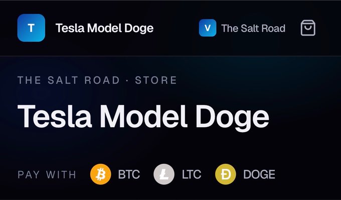 A dark-themed promotional graphic for the "Tesla Model Doge" merchandise from The Salt Road store, displaying payment options with circular icons for BTC, LTC, and DOGE cryptocurrencies. The image visually reinforces the post's announcement about accepting Bitcoin, Litecoin, and Dogecoin through SalariaPay on their crypto-only online merch store.