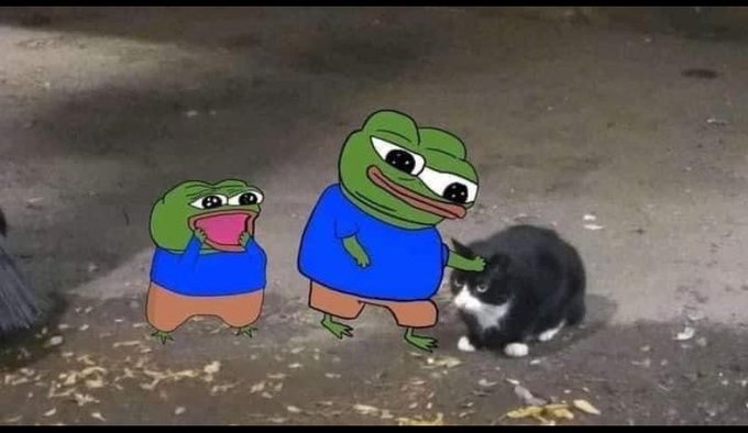 A humorous edited image featuring two Pepe the Frog characters standing next to a real black and white cat on the ground.