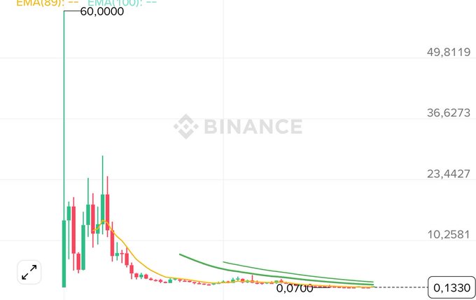 Binance candlestick chart showing a dramatic price decline from a peak of 60.0000 down to 0.0700-0.1330, with EMA(89) and EMA(200) indicators visible.