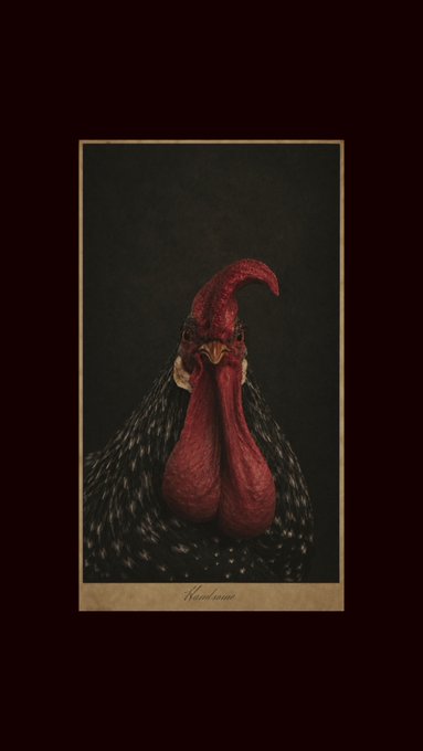 A dark, vintage-style portrait of a rooster with dark feathers and a prominent red comb and wattle, displayed within a tan border with the cursive text "Roosters" at the bottom.