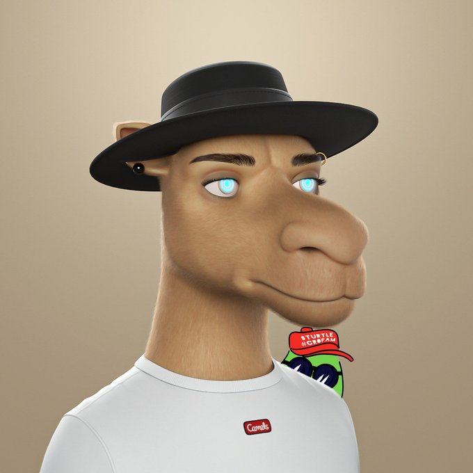 A 3D-rendered anthropomorphic camel character wearing a black hat and white t-shirt, featuring glowing cyan eyes and a small 'Sturtle Lightyear' turtle graphic on the shoulder.