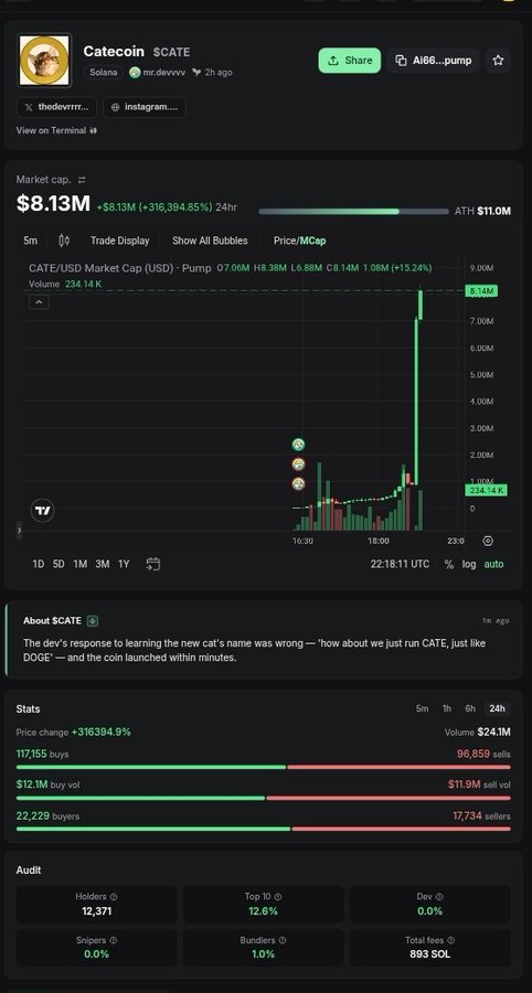 The image shows a trading chart for Catecoin ($CATE) on Solana, displaying a market cap of $8.13M with a massive 316,394.85% price increase in 24 hours and $24.1M in trading volume. This visualizes the user's post about catching a rare "200X gem"—showcasing CATE as an extreme example of a meme coin pump that delivers the kind of explosive gains the user hopes to find for motivation.