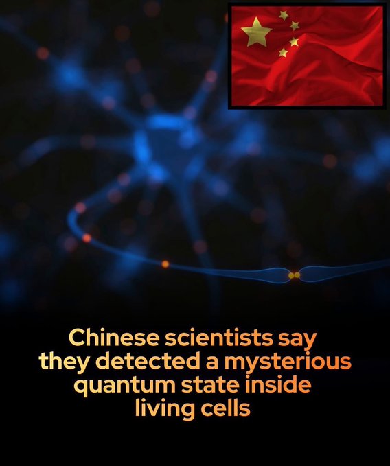 News graphic with Chinese flag stating 'Chinese scientists say they detected a mysterious quantum state inside living cells' over a blue neural network background.