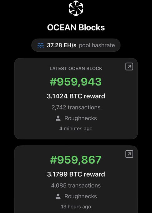 A mobile screen shows the OCEAN mining pool dashboard displaying a 37.28 EH/s pool hashrate, with the latest blocks #959,943 (3.1424 BTC reward) and #959,867 (3.1799 BTC reward) credited to 'Roughnecks'.
