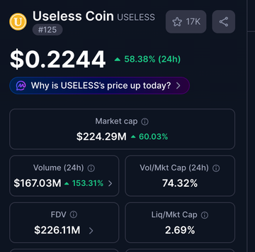 A crypto analytics dashboard shows Useless Coin ($USELESS) trading at $0.2244, up 58.38% in 24 hours, with a market cap of $224.29M (+60.03%) and 24-hour volume of $167.03M (+153.31%). The stats support the post's claim that $USELESS is seeing unusually high trading activity, ranking #125 with notable liquidity and volume-to-market-cap metrics.
