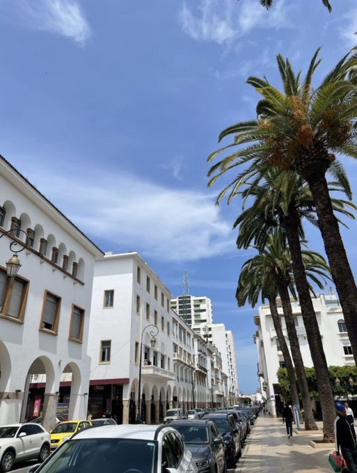 A sunny street scene lined with tall palm trees and white colonial-style buildings with arched walkways, with parked cars along the road.