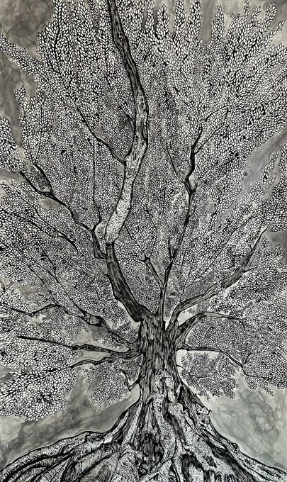 A detailed black and white pen and ink drawing of a large tree with intricate foliage filling the canopy and gnarled branches extending outward.