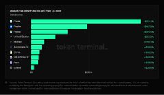 The image shows a Token Terminal bar chart ranking protocols by token buy-backs over 30 days, with Pendle leading at approximately $147M, followed by GMX, Wormhole, Synthetix, MakerDAO, EigenLayer, and others. The post's lament about wanting monthly RWA (Real World Assets) reports highlights that while granular on-chain buyback data exists for crypto protocols, similar transparency is lacking for traditional asset tokenization efforts.