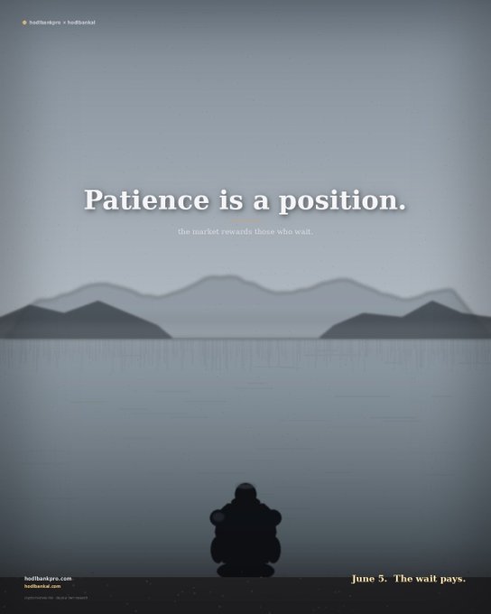 The image features a poster with a silhouette of a person sitting by a body of water, facing away from the viewer. The text "Patience is a position" is written above the person's head, while the phrase "June 5. The wait pays." is below them. The background of the poster shows mountains and a lake, creating an overall serene atmosphere. The image also includes a website address for hodlbankpro.com, which could be related to the poster or another topic.